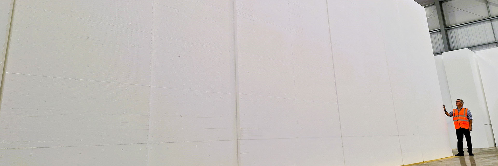 Image showing a man holding a polystyrene wall